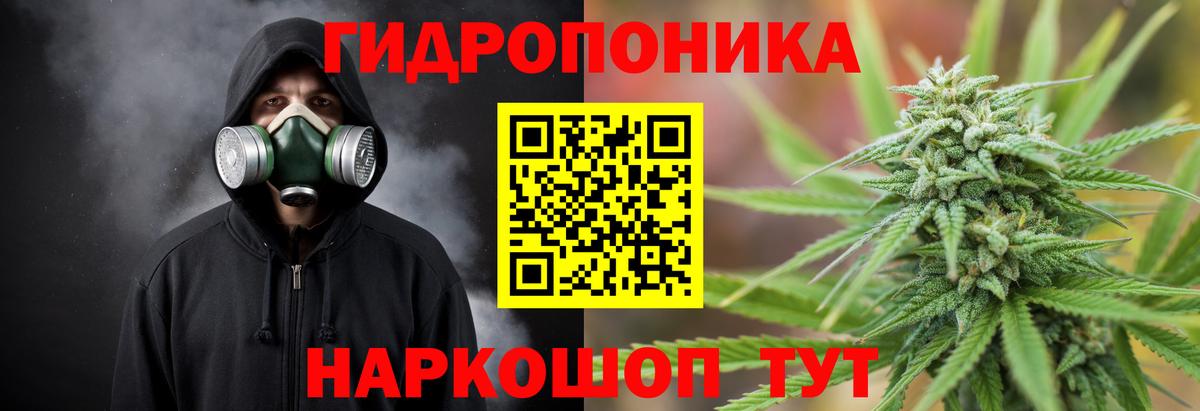 Касимов  Каннабис сатива  Вход с VPN  МАРИХУАНА SATIVA & INDICA  Шишки марихуана White Widow 