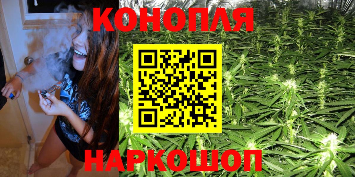 Каннабис планчик Касимов
